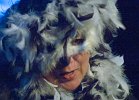 AAHA0051 : Huckepacktheater, Kalif Storch, Theaterbühne